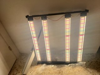 Foco LED Plata y Blanco