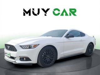 Ford Mustang 2.3 EcoBoost Fastback Auto 231 kW (310 CV)