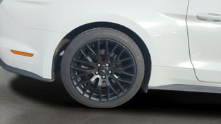 Ford Mustang 2.3 EcoBoost Fastback Auto 231 kW (310 CV)