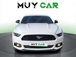 Ford Mustang 2.3 EcoBoost Fastback Auto 231 kW (310 CV)