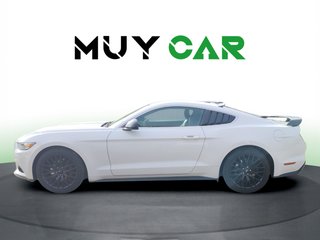 Ford Mustang 2.3 EcoBoost Fastback Auto 231 kW (310 CV)