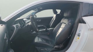 Ford Mustang 2.3 EcoBoost Fastback Auto 231 kW (310 CV)