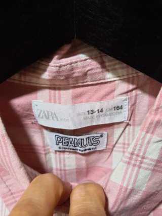 Camisa