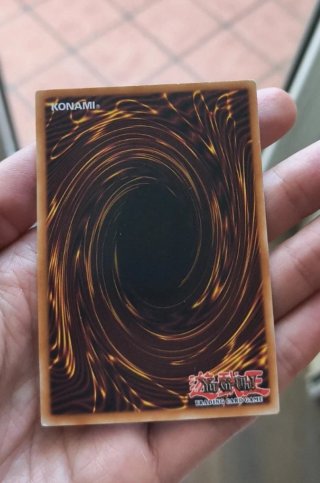 Lucente Fenice Sorvegliante Eroe Elementale
