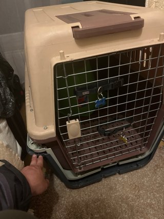 Transportín Petmate para mascotas