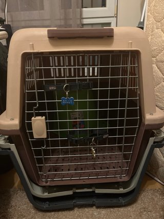 Transportín Petmate para mascotas
