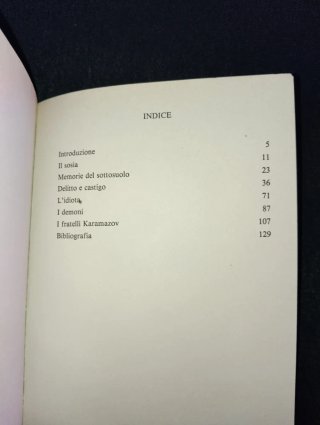 Dostoevskij - Le cento pagine più belle