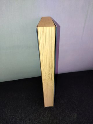 I DEMONI di Tobias O. M. - Libro Fantasy