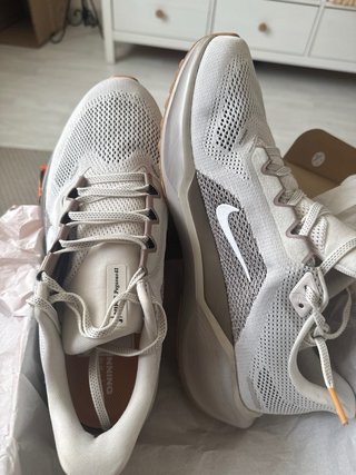 Nike Pegasus 41 Talla 42.5 Mujer