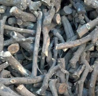 Leña de naranjo para chimenea o barbacoa Valencia