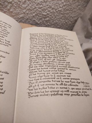 Cantar de Mío Cid