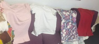 Lote de 11 Camisas Variadas