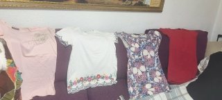 Lote de 11 Camisas Variadas