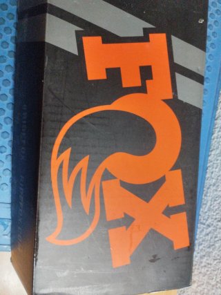 Tija FOX Transfer
