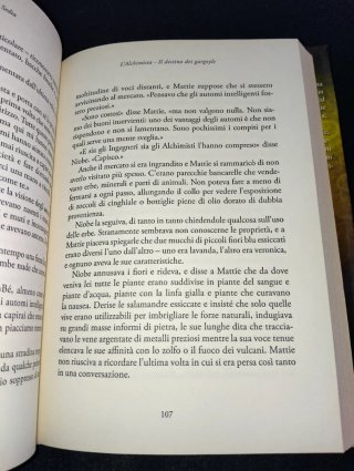 L'Alchimista: Il Destino dei Gargoyle