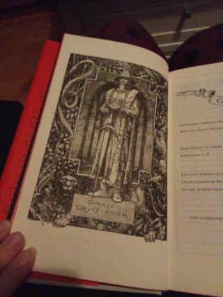 Harry Potter y la cámara secreta (20 Aniv. Gryf...