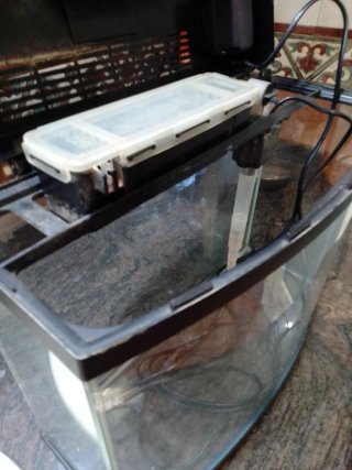 Pecera de cristal para espacios pequeños