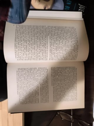 En busca del León Verde, Judith Merkle Riley.