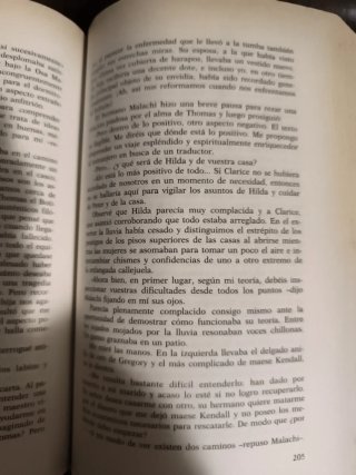 En busca del León Verde, Judith Merkle Riley.