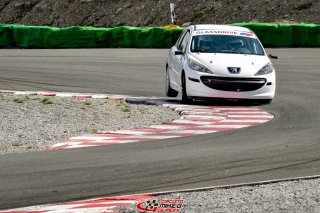 Peugeot 207 2009