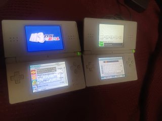 2 Nintendo DS Lite Bianche + Giochi + Caricatore