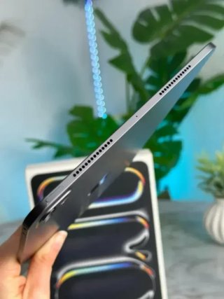 iPad Pro M4 100% (30 CICLOS)