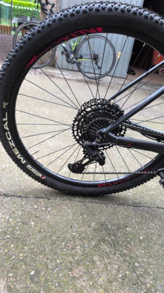 Orbea Alma H10 XL