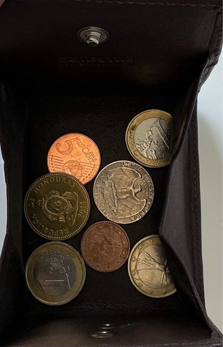Monedero Samsonite Cuero Marrón