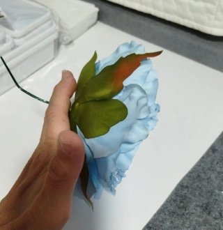 Flor flamenca azul