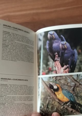Guía de Aves de jaula