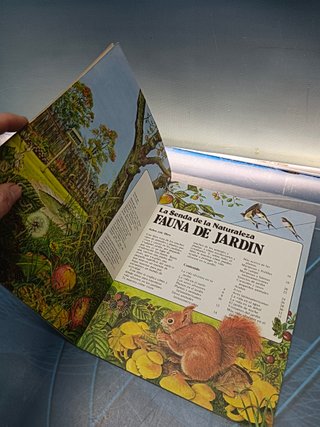 Libro, LA SENDA DE LA NATURALEZA : FAUNA DE JARDIN , PLESA, (1981)