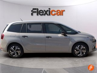 Citroën Grand C4 Picasso BlueHDi 88KW (120CV) Feel - 5P (2017)