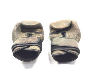 guantes  molu professional boxing