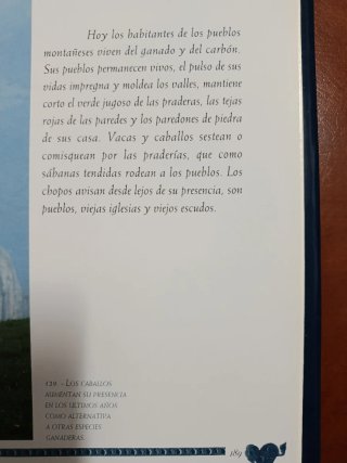 Libro