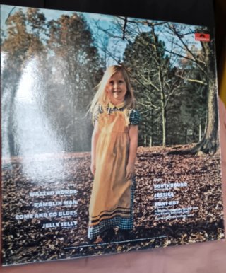 The Allman Brothers Band - Brothers and Sisters LP
