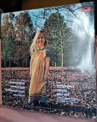 The Allman Brothers Band - Brothers and Sisters LP