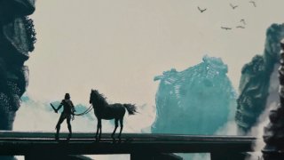 Poster A3 Shadow of the Colossus