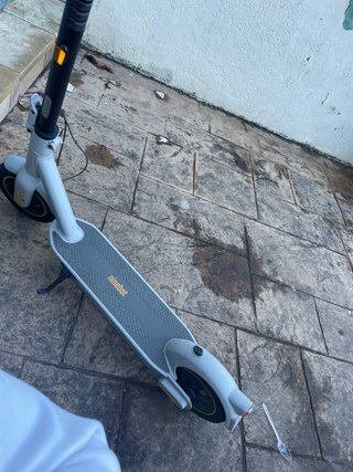 Ninebot G30 Max Patinete Eléctrico Interesados dm