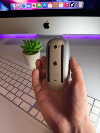 Pack Apple Teclado Numérico y Ratón