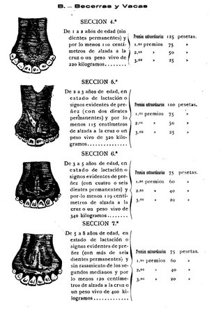 [CORUÑA AÑO 1920]. LA GANADERIA ESPAÑOLA.