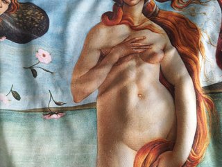 Sudadera El Nacimiento de Venus coleccionistas S