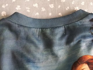 Sudadera El Nacimiento de Venus coleccionistas S
