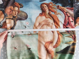 Sudadera El Nacimiento de Venus coleccionistas S