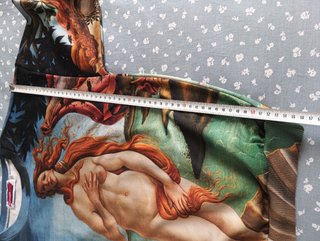 Sudadera El Nacimiento de Venus coleccionistas S