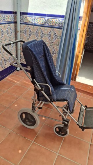 Silla de paseo para niños