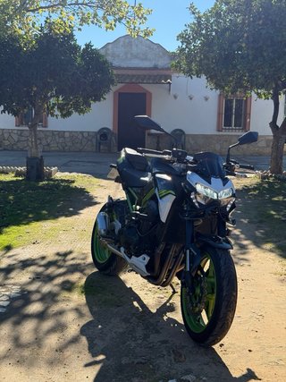 Kawasaki Z900 2022 LIMITABLE A2