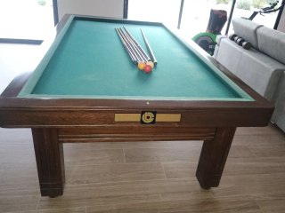 Mesa de billar profesional