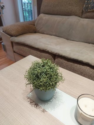 Plantas Artificiales Decorativas