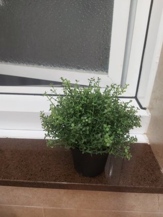 Plantas Artificiales Decorativas