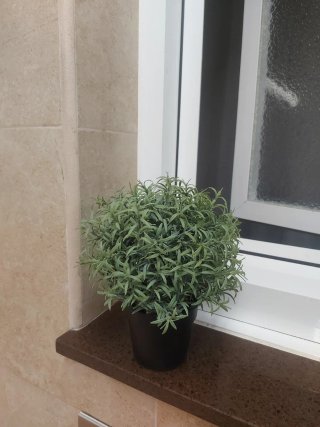 Plantas Artificiales Decorativas
